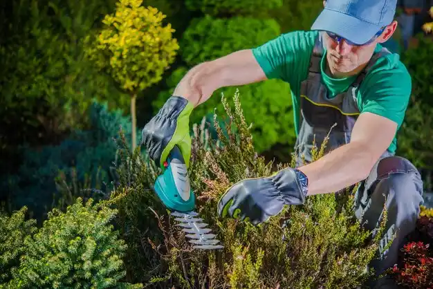 landscaping services Grawn